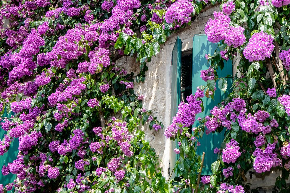 AVSLUTAD RESA: Underbara Gardasjön – en italiensk dröm