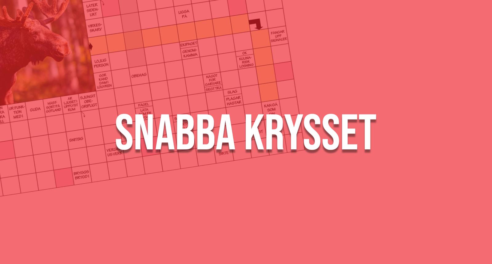 Snabba krysset 22 2023