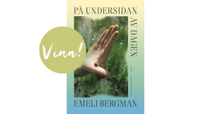 Vinn Emil Bergmans roman!